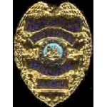 LAS CRUCES, NEW MEXICO POLICE DETECTIVE BADGE PIN